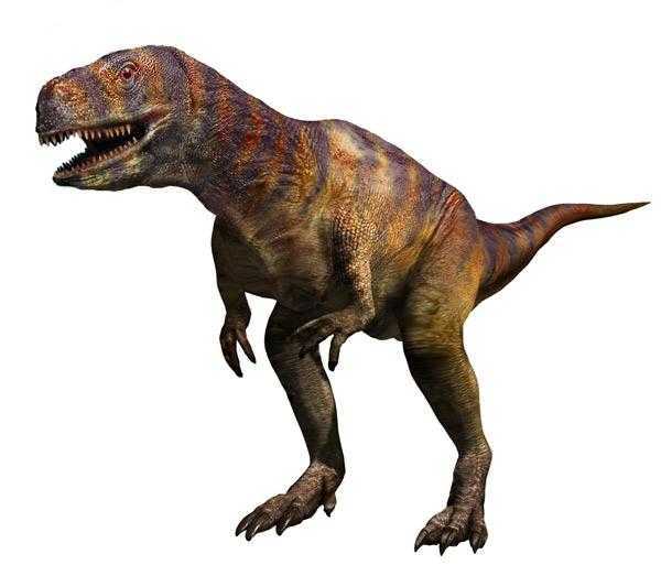 阿贝力龙abelisaurus
