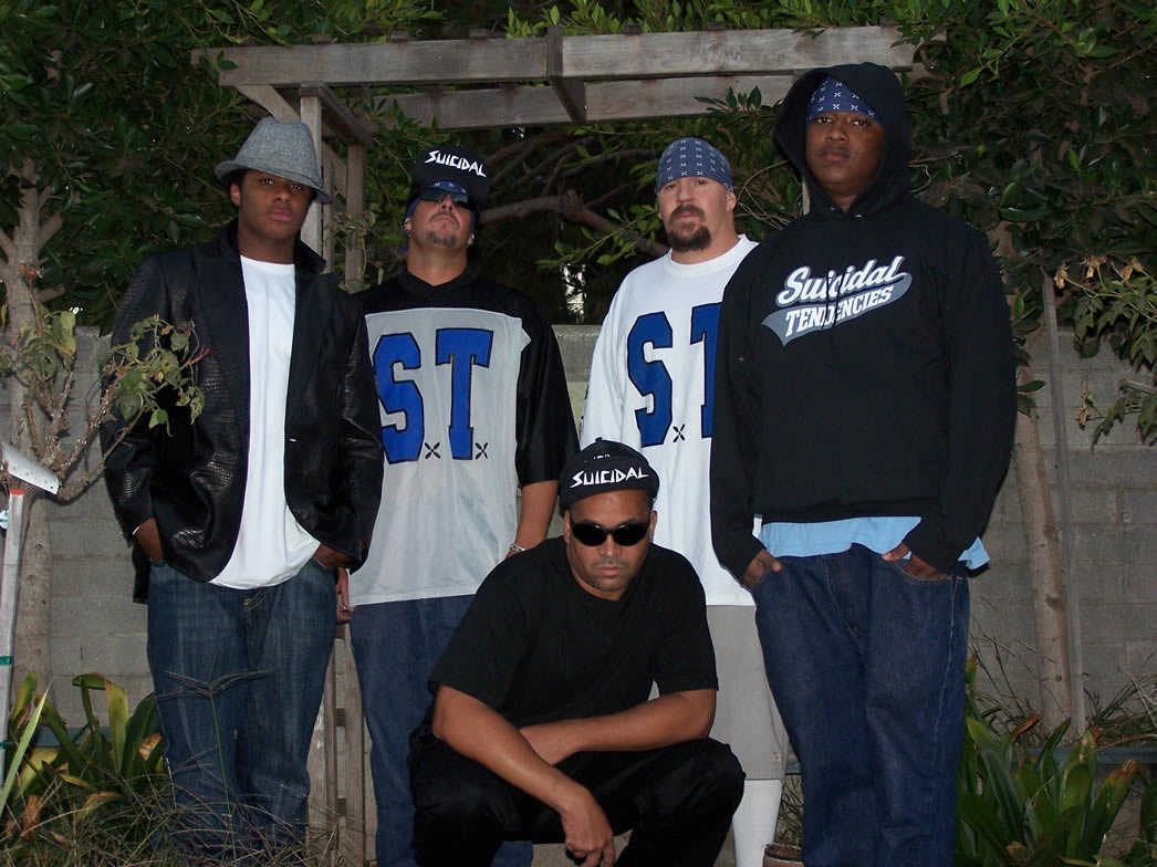 自杀倾向(suicidal tendencies)