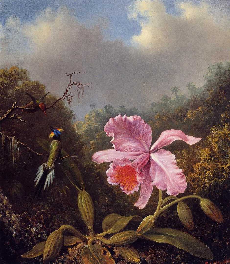 马丁·约翰逊·赫德(heade martin johnson)